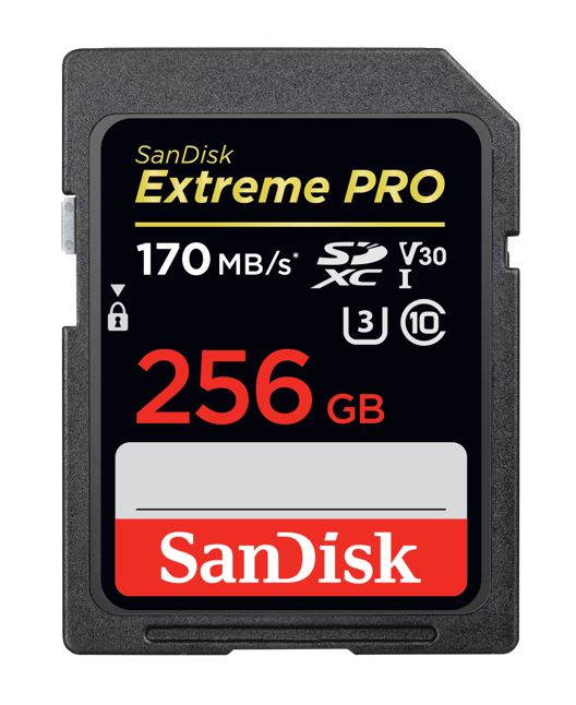 SanDisk 256GB Extreme PRO Memory Card 170MB/s Full HD & 4K UHD Class 30 Speed Shock Proof Temperature Proof Water Proof (LS> SDSDXXD-256G-GN4IN) (LS)