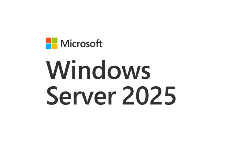 Microsoft Windows Server CAL 2025 English 1pk DSP OEI 1 Clt Device CAL No Refund